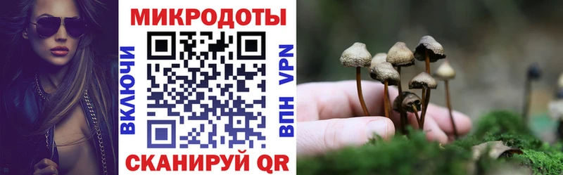 Галлюциногенные грибы Magic Shrooms  Щигры 